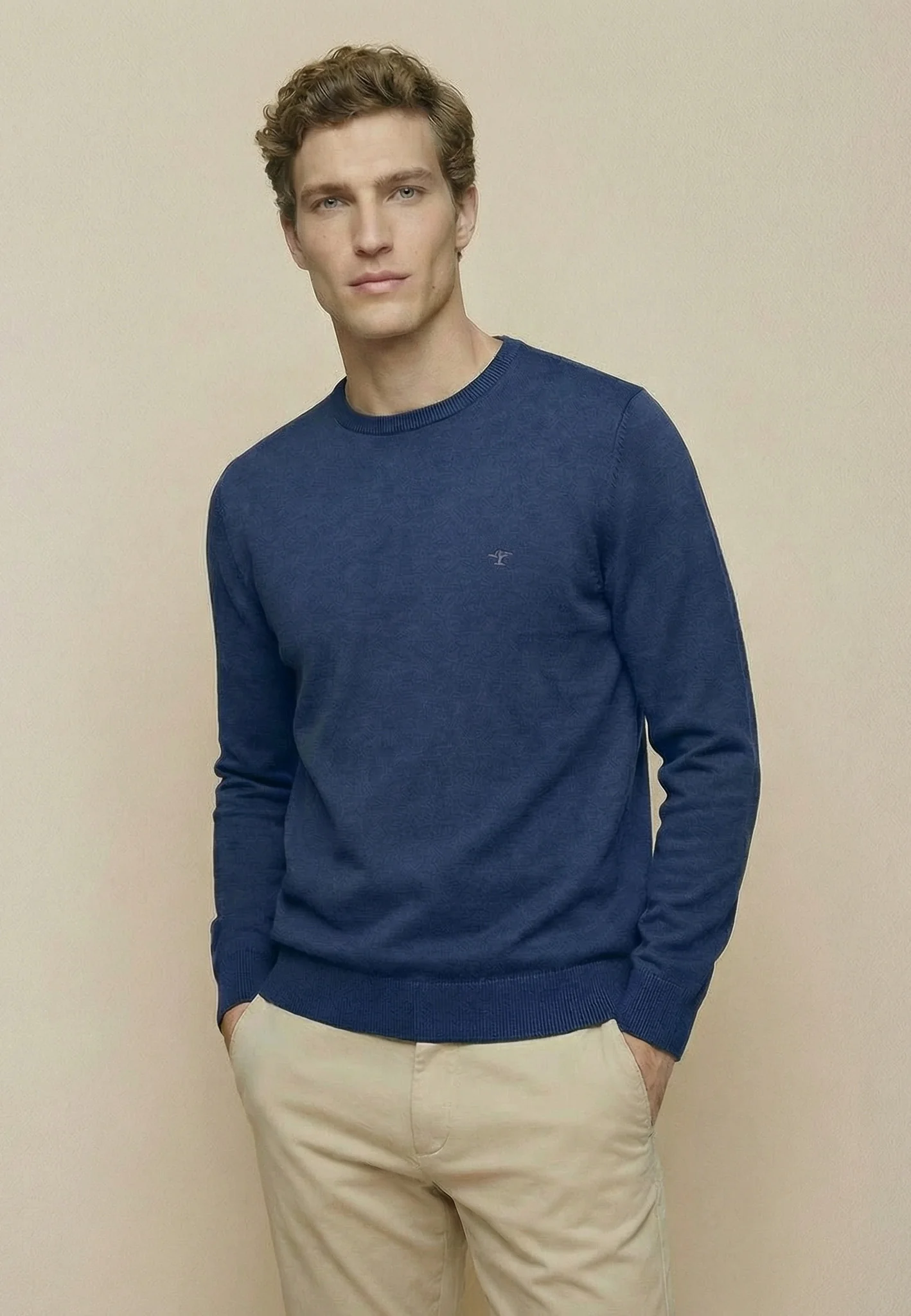 Feinstrickpullover aus reiner Baumwolle mit Rundhalsausschnitt - Image 56