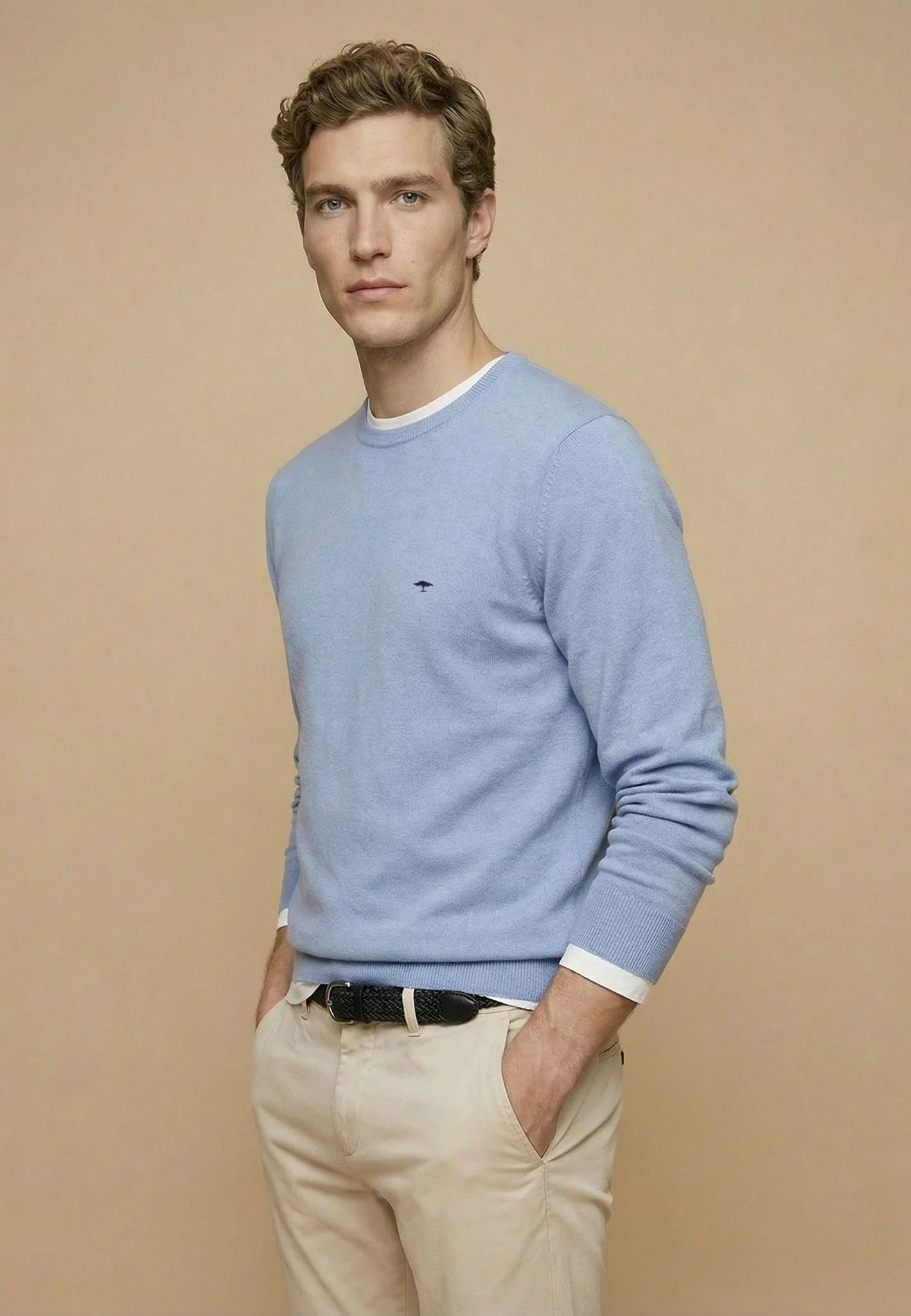 Feinstrickpullover aus reiner Baumwolle mit Rundhalsausschnitt - Image 6