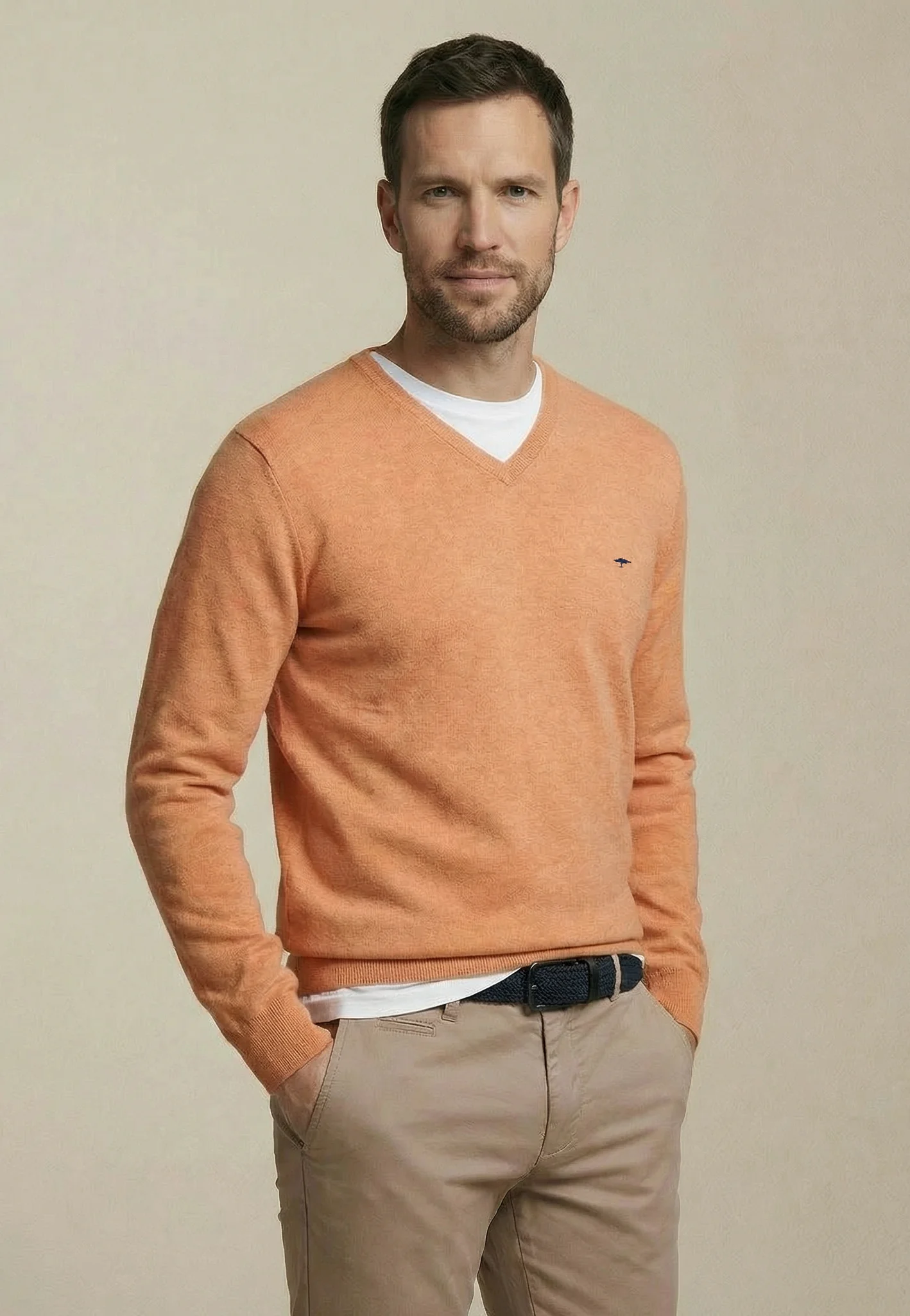 Feinstrickpullover aus reiner Baumwolle mit V-Ausschnitt