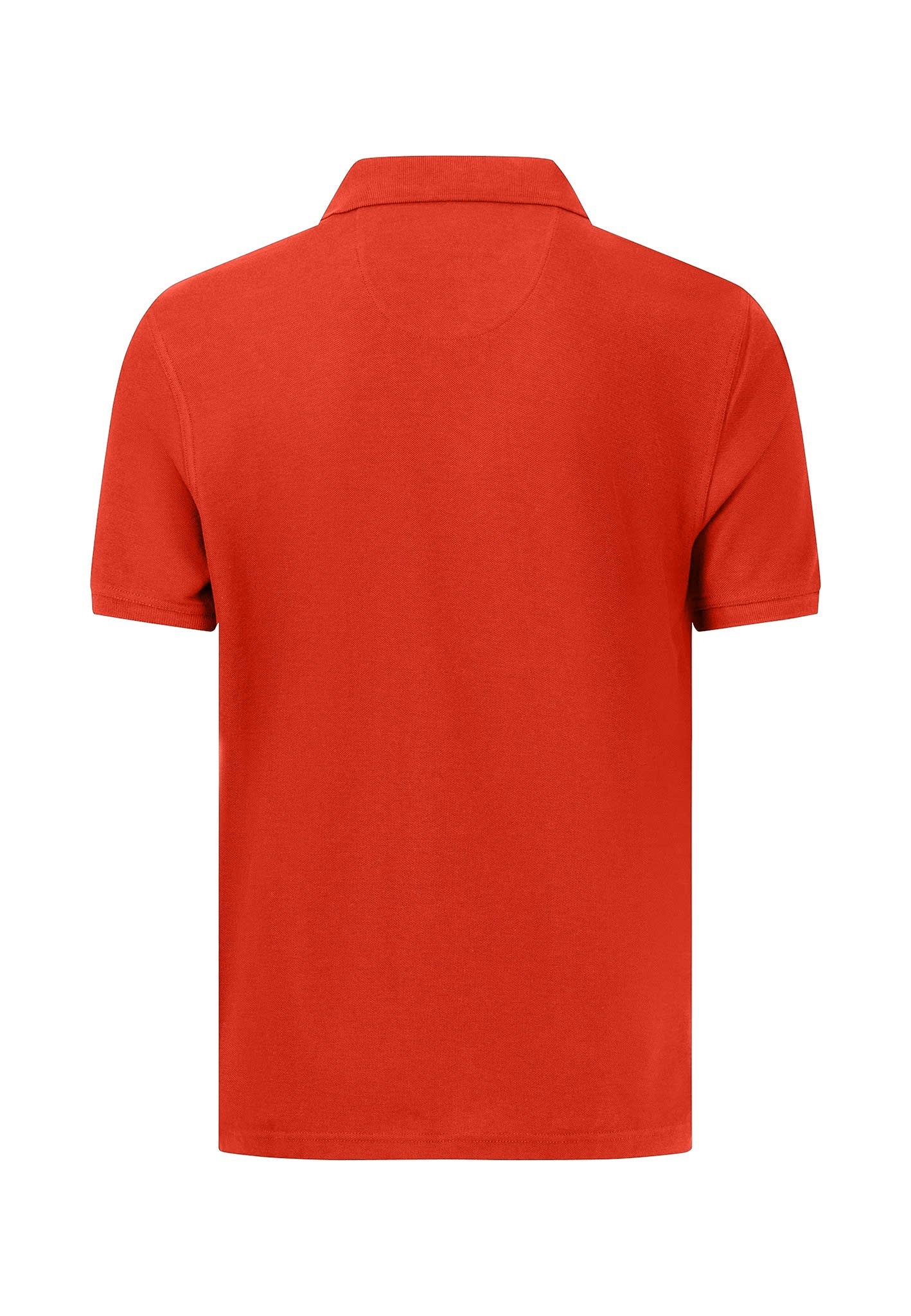 Poloshirt aus Baumwolle mit Logo-Stickerei und Knopfleiste - Image 12