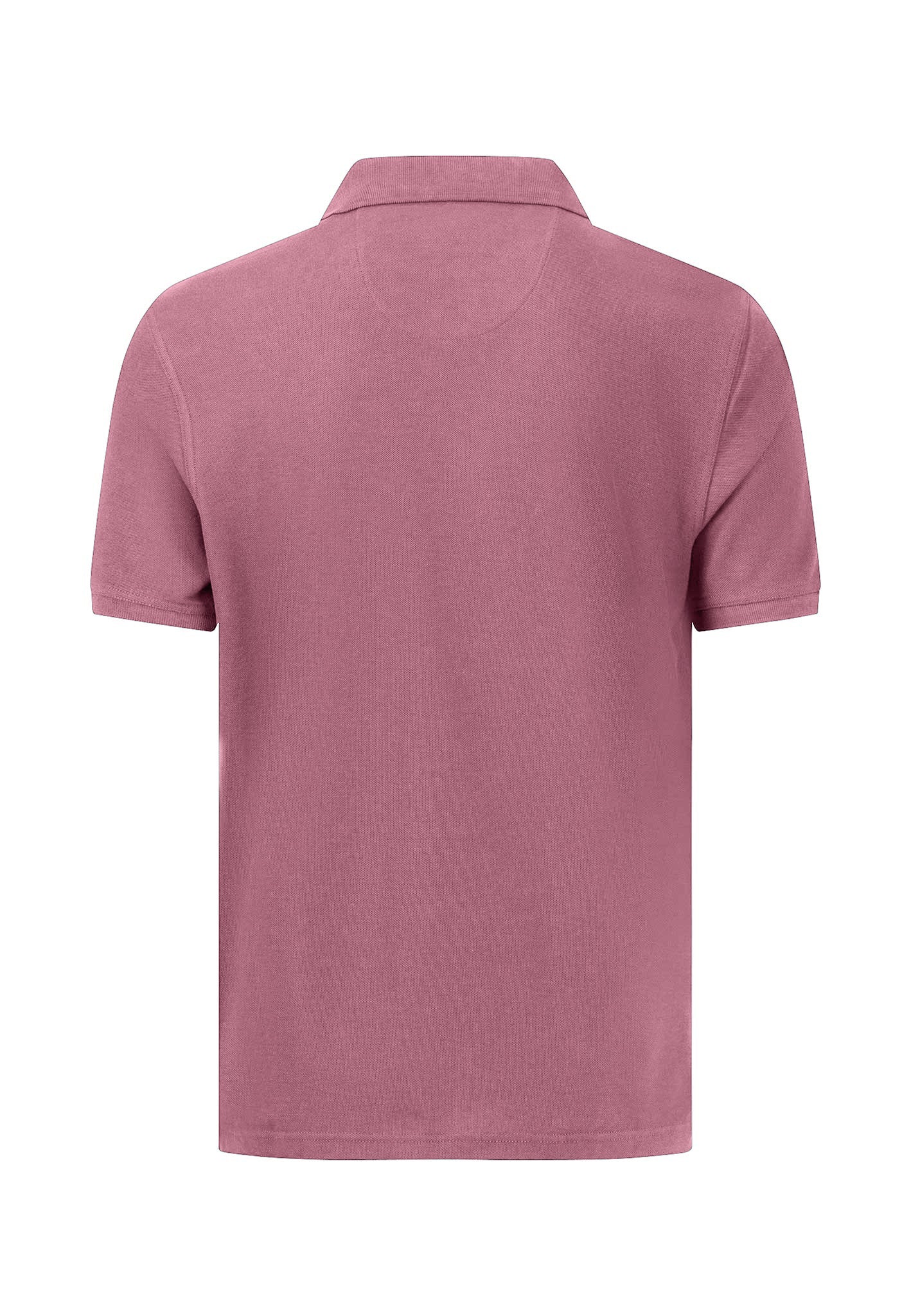 Poloshirt aus Baumwolle mit Logo-Stickerei und Knopfleiste - Image 2